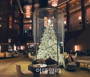 [포토] 서울 파르나스, 희망의 크리스마스 트리