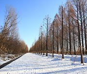 '156.5km 서울둘레길' 개통 7년..5만번째 완주자 나왔다