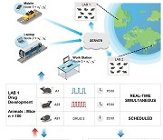 KAIST, IoT 기반 다수의 뇌 신경회로 동시 원격제어 시스템 개발