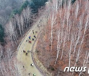 인제 자작나무숲 바로 옆에 목재문화체험장..2023년 완공