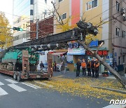 부산서 트레일러에 적재된 굴삭기가 가로수 충격..2명 부상