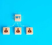 NFT 구매, 전혀 다른 두 길..소비 그리고 투자