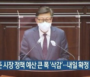 박형준 시장 정책 예산 큰 폭 '삭감'..내일 확정