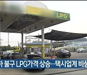 유류세 인하 불구 LPG가격 상승..택시업계 비상