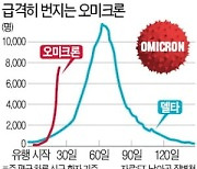 '오미크론 진앙' 남아공서 나오는 낙관론.."돌파·재감염 늘었지만 중증은 많지 않아"