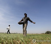 한국·인도 등 세계 요소 부족 사태.."밥상물가 오른다"