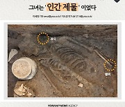 [카드뉴스] 경주 월성서 발견된 135cm 신라 여성, '인간 제물'?