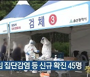 울산 남구 친척모임 집단감염 등 신규 확진 45명