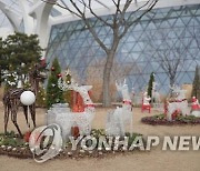 서울식물원, 겨울 특별전시 개최