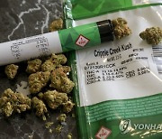 Marijuana Dispensary Bans