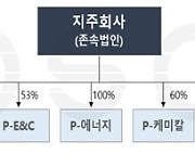 '자회사 포스코 상장 안한다' 정관에 못박아.."비상장 유지 의지"