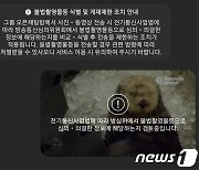 '사전 검열' 현실화에.."n번방 방지법 개정하라" 국민청원까지 등장