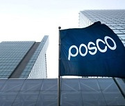 Posco's holding company scheme gets board approval