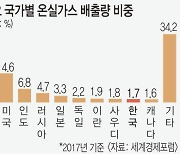 "탄소 흡수·저장하는 대책 중요".. 선진국들 '국립공원' 적극 활용