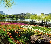 대전관광사진 공모전 금상 받은 '수목원의 봄'