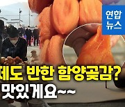 [영상] 임금님께 바쳤다는 그 곶감..함양곶감 첫 경매 가보니