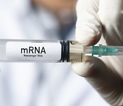 mRNA 이용한 에이즈 백신, 동물실험 성공