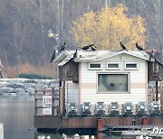 [오늘의 주요일정] 정치·정부(11일, 토)