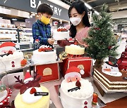 [주말쇼핑포인트]"올해도 홈파티" 크리스마스 케이크 미리 준비해볼까