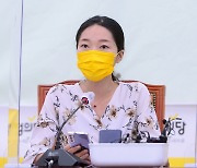 청년정의당,  추미애·손혜원 겨냥 "쥴리·성형 의혹 제기, 부끄럽지 않나"