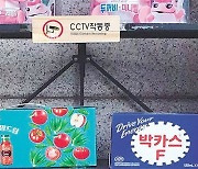 [고양이 눈]CCTV보다 비둘기