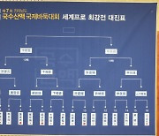 변상일 vs 신진서..국수산맥 세계프로최강전 결승서 맞대결