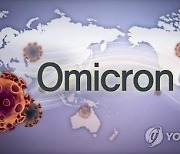일본 오미크론 감염자 또 확인..누적 13명으로 늘어