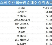 코스닥 주간 외국인 순매수 1위 'LX세미콘'