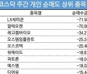 코스닥 주간 개인 순매도 1위 'LX세미콘'