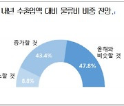 수출입 기업 10곳 중 9곳 "내년에도 물류비 부담"