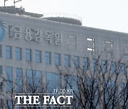 금감원, 해외 ETN 불완전판매 경고..손배 책임 물어야 