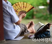 "내 조카가 경찰".. '음주 귀가' 돕는 경찰 협박·폭행 70대 벌금형