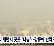 미세먼지 곳곳 '나쁨'..강풍에 반짝 강추위