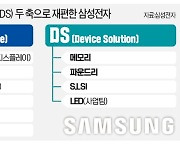 삼성 'DX'부문 출범..CES서 혁신제품 쏟아낸다