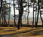 [포토친구] 서리 내린 아침