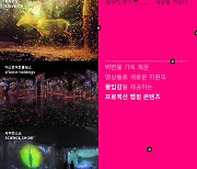 '2021 실감콘텐츠 성과 전시회', 17일 성곡미술관서 개막