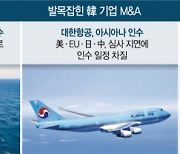 자국 우선주의에..조선·항공 빅딜 발목