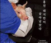 [새로 나온 책] 세상은 새벽이를 '고깃덩어리'로 부른다