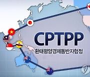 '세계무역 15%' CPTPP 가입하나, 내일 논의..경제 효과와 영향은