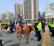 덕수궁 돌담길에 소 두 마리..집회 왔던 주인이 두고 떠나