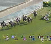 Hong Kong Horse Racing Accident
