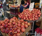 이란 시장의 석류