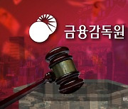 시장조성자 과징금 거둔 금감원 "거래소 검사결과 고려"