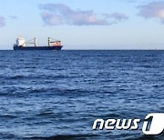 "물 속에서 비명소리"..스웨덴 남부 해안서 화물선 2척 충돌