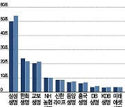 "규제 강화 전에 빌리자"..보험사 대출 증가 규모 심상찮네(종합)