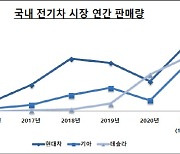 아이오닉5 > 테슬라, 국내 전기차 왕좌 되찾은 현대차