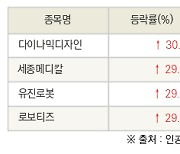 [fnRASSI]오늘의 상한가, 다이나믹디자인 30.0% ↑