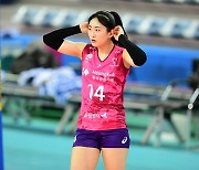 여자배구 신인왕 경쟁, 페퍼 박은서도 '후보등록' 완료