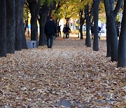 [길섶에서] 인생 2막/박홍환 평화연구소장