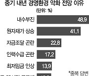 중소기업 10곳 중 8곳 내년 경영전망도 '흐림'